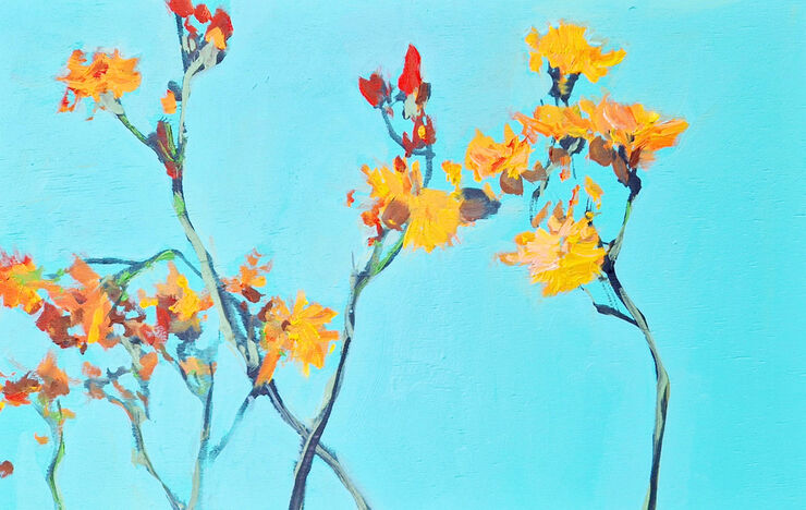 orange hawkweed, painting No. 6593 / oil on board