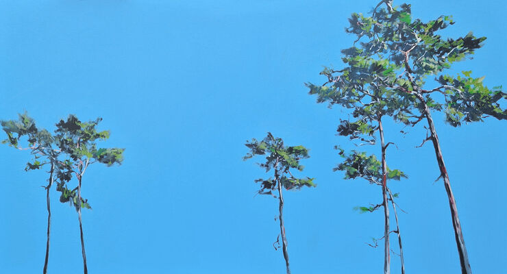 Pines, painting No. 3506 / Acrylic on canvas