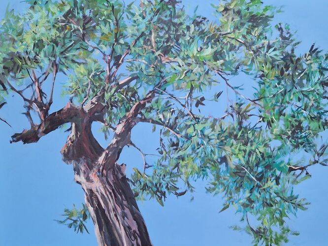 olive tree / acrylic on canvas