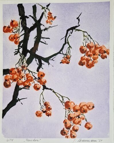 firethorn, painting No. 6594 / ink on paper