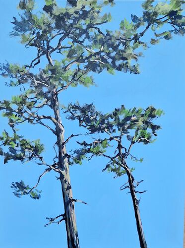 Pines, painting No. 2261 / acrylic on canva