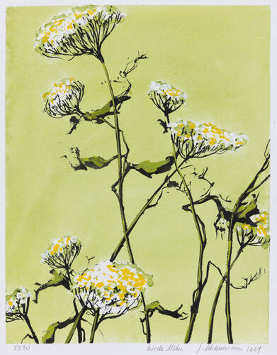 wild carrot, work No. 5530 / ink on paper