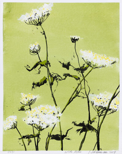 wild carrot, work No. 5531 / ink on paper